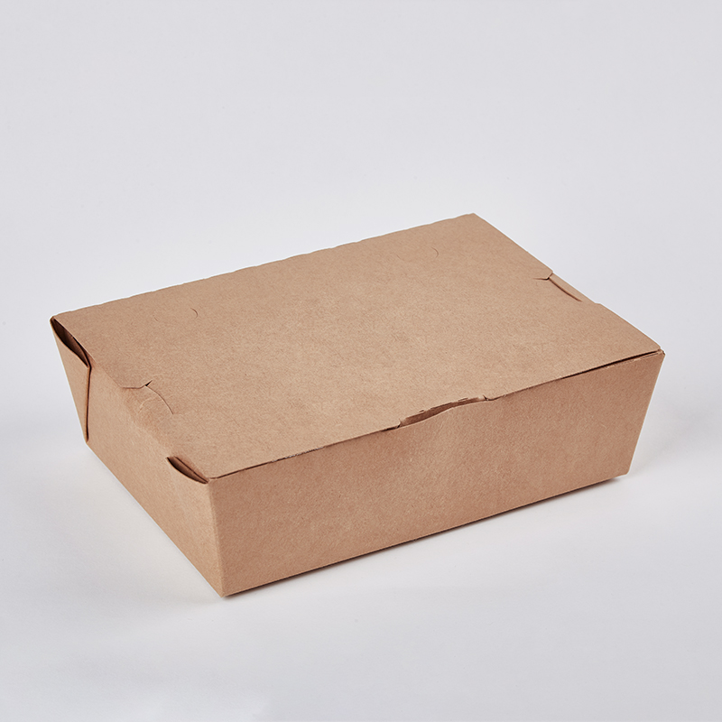Takeaway Kraft Food Boxes