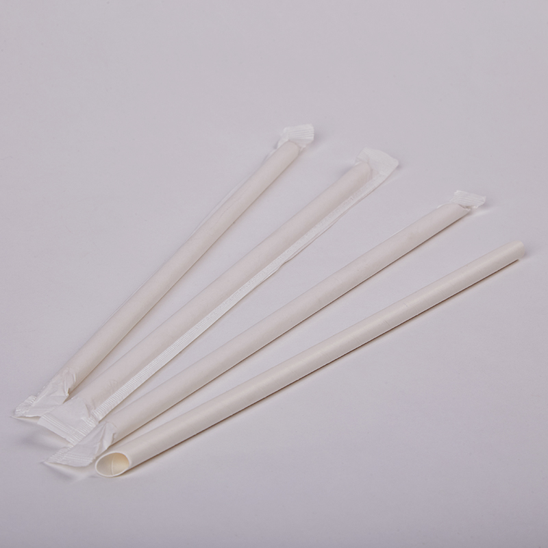 Individually Wrapped Eco Straws