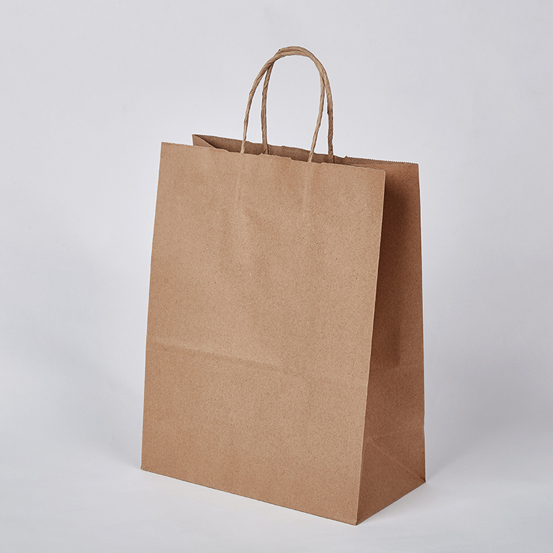 twisted handle paper shopping bag