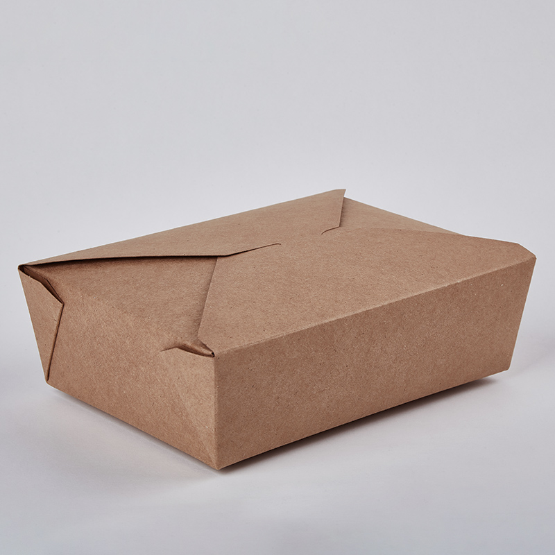 Wholesale Disposable Kraft Takeaway Bio-Boxes
